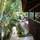 Sea Breeze Beach - Hotel - 2