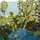 Pattawia Resort & Spa - General - 4