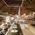 Allegro Playacar - All Inclusive - Hotel - 9