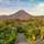 Arenal Manoa Resort & Hot Springs - General - 3