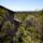 The Oasis Apartments and Treetop Houses - General - 31
