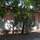 De Sio Camping Residence - Terraza - 20