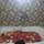 Miroslav Holiday Homes - General - 5