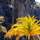 Flag Hotel Madeira - Ribeira Brava - Deportes - 28