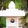 ZEN Home Resort and Garden Phayao - General - 14