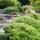 Stratton House - Terraza - 10