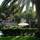 Amazonas Hotel - Hotel - 2