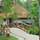 Carnoustie Ayurveda & Wellness Resort - General - 12