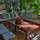 Brasilito - Hotel - 2