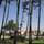 SOWELL Family Pignada Plage - Hotel - 3