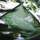 Hollow On The Square - Hotel - 3