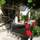 Hotel Saturno - General - 12