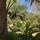 North Coast Guest House - General - 6