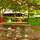 Iberostar Origin Tainos - Servicios - 29