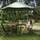 Carnoustie Ayurveda & Wellness Resort - General - 15