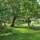 Carnoustie Ayurveda & Wellness Resort - General - 23