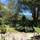 North Coast Guest House - Terraza - 23
