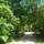 Carnoustie Ayurveda & Wellness Resort - General - 21