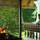 Carnoustie Ayurveda & Wellness Resort - General - 4