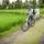 Purana Boutique Resort - Hotel - 3