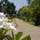 Carnoustie Ayurveda & Wellness Resort - General - 10