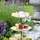 Stratton House - Terraza - 11