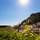 Amalfi Luxury House - General - 59