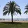 ibis Malaga Centro Ciudad - Playa - 12