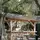 Chateau Saint-Martin & Spa - Restaurante - 84