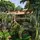 Hosteria Las Quintas - Hotel - 7
