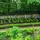 Hotel City Garden Amsterdam - Hotel - 2