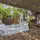 Finca Son Miranda - General - 4