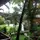 Capital O 322 Sea Breeze Candolim Hotel - Hotel - 1