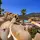 The Welk, San Diego - Servicios - 50